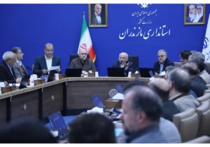 یونسی رستمی: گرانی و کیفیت پایین نان به هیچ وجه قابل قبول نیست/مردم باید نتایج جلسات را در سفره خود لمس کنند