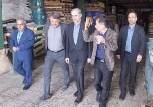 مدیرکل بازرسی استان در بازدید از ناحیه صنعتی درونکلا بابل گفت: رفع مشکلات واحدهای صنعتی با جدیت پیگیری می شود