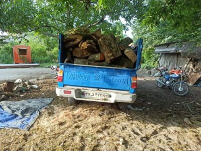 کشف ۳.۵ تن چوب راش قاچاق و توقیف خودروهای حامل در مازندران