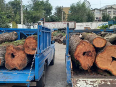 کشف ۷ تن چوب قاچاق در سلمانشهر